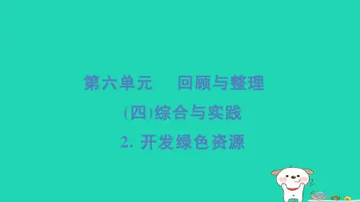 2024六年级数学下册第6单元回顾与整理四综合与实践2开发绿色资源习题课件冀教版