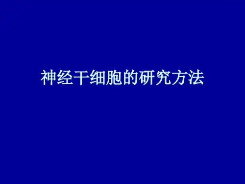 神经干细胞培养方法