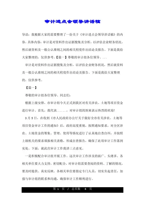 审计进点会领导讲话稿