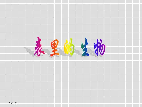 《表里的生物》分析