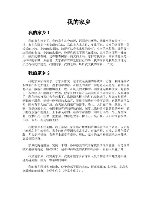 我的家乡-专业文档