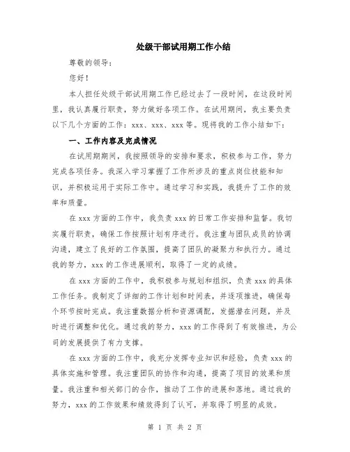 处级干部试用期工作小结
