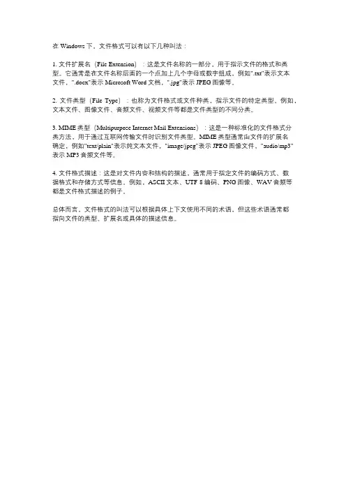 windows 下文件格式的叫法