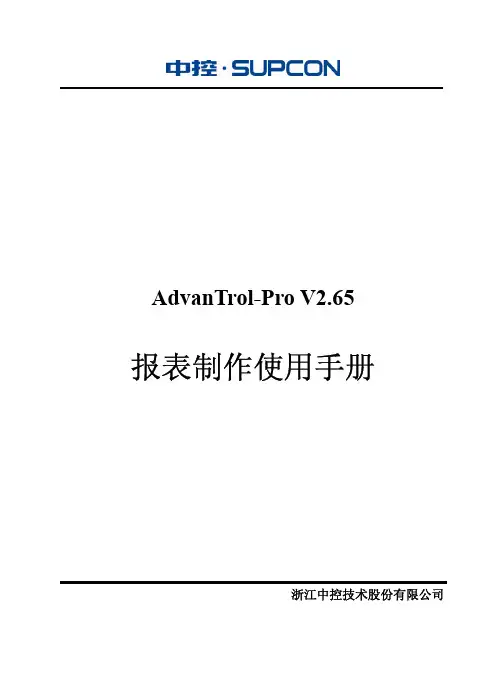 报表制作使用手册