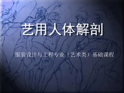 艺用人体解剖