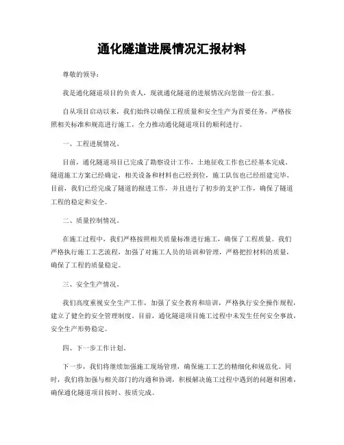 通化隧道进展情况汇报材料
