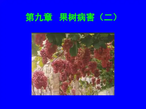 第九章   果树病害(二)幻灯片课件