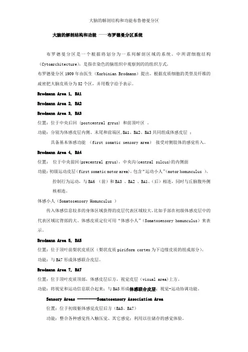 大脑的解剖结构和功能布鲁德曼分区