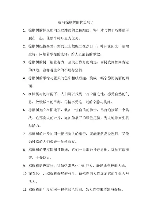 描写棕榈树的优美句子