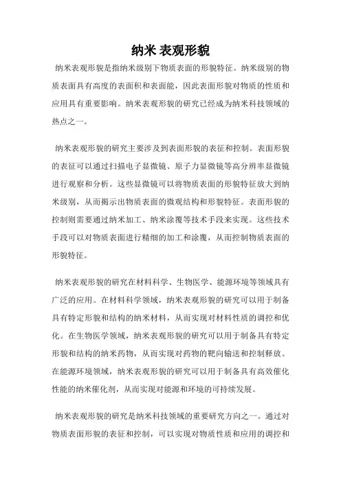 纳米 表观形貌
