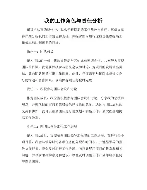 我的工作角色与责任分析