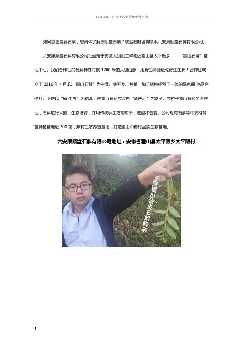 关于石斛知识扫盲