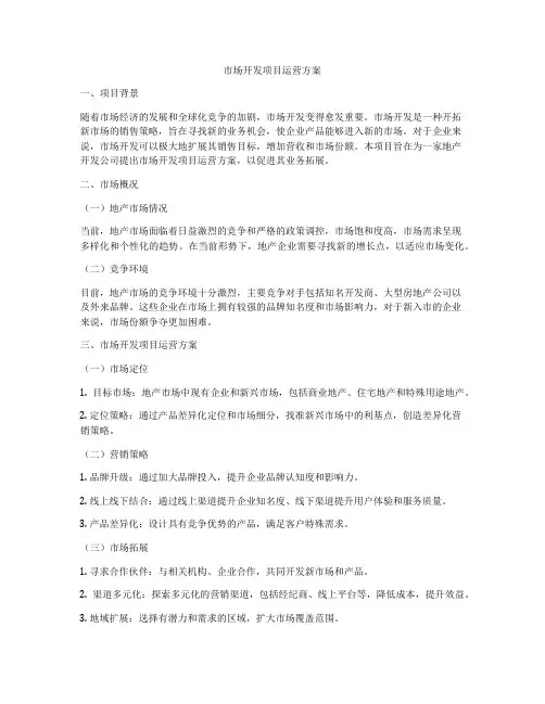 市场开发项目运营方案