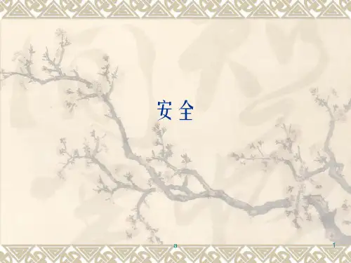 《安全风险识别》PPT课件