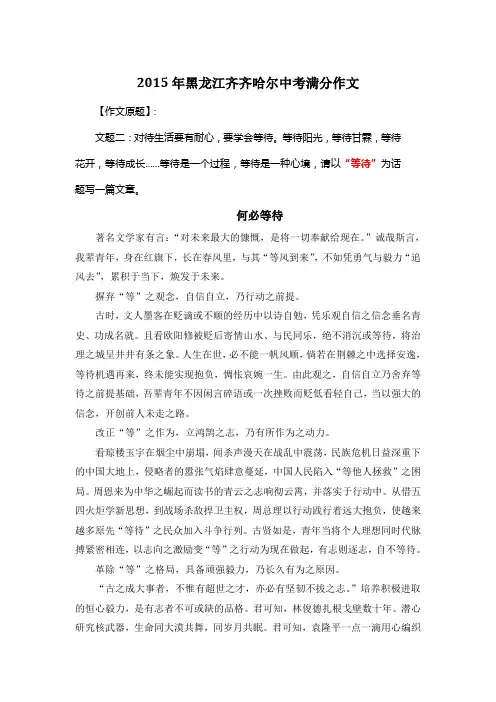 2015年黑龙江齐齐哈尔中考满分作文《何必等待》2