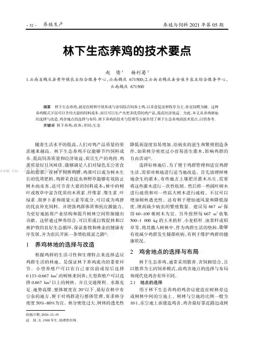 林下生态养鸡的技术要点