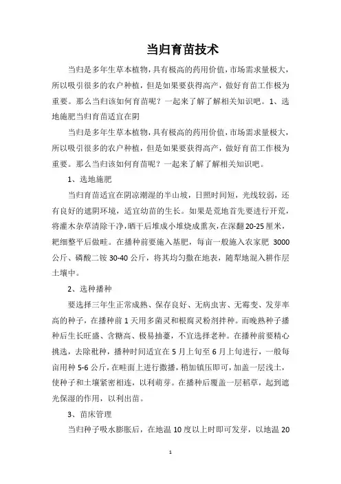 当归育苗技术