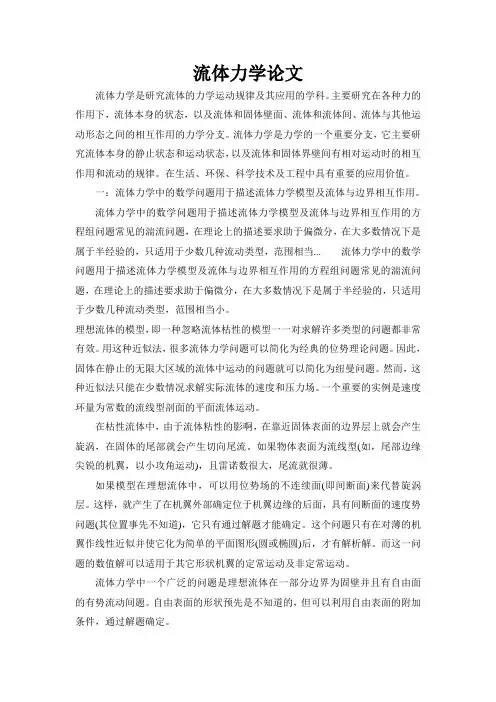 流体力学小论文