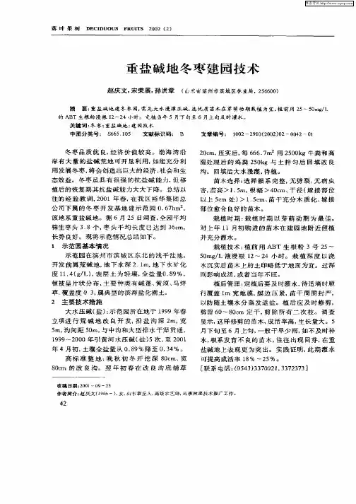 重盐碱地冬枣建园技术