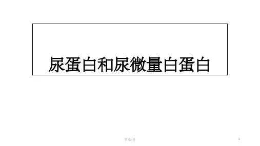 尿蛋白和尿微量白蛋白ppt课件