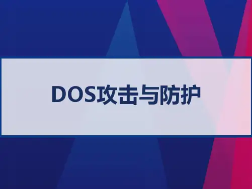 DOS攻击与防护 PPT