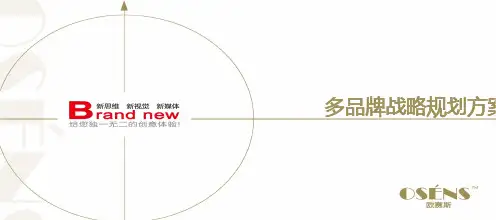 欧赛斯多品牌架构战略分析规划方案