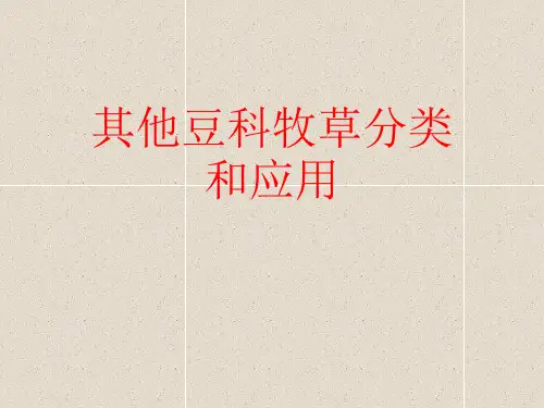 其他豆科牧草分类和应用