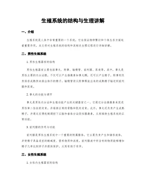 生殖系统的结构与生理讲解