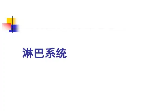 《畜禽解剖学》教学课件：淋巴系统