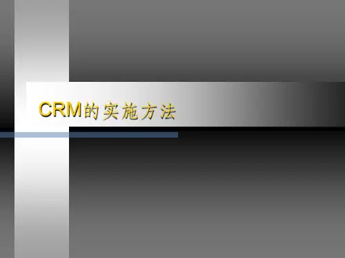 CRM的实施方法ppt课件