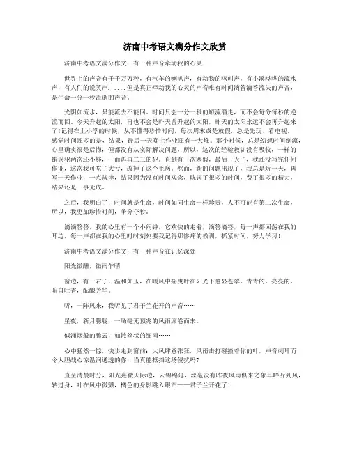 济南中考语文满分作文欣赏