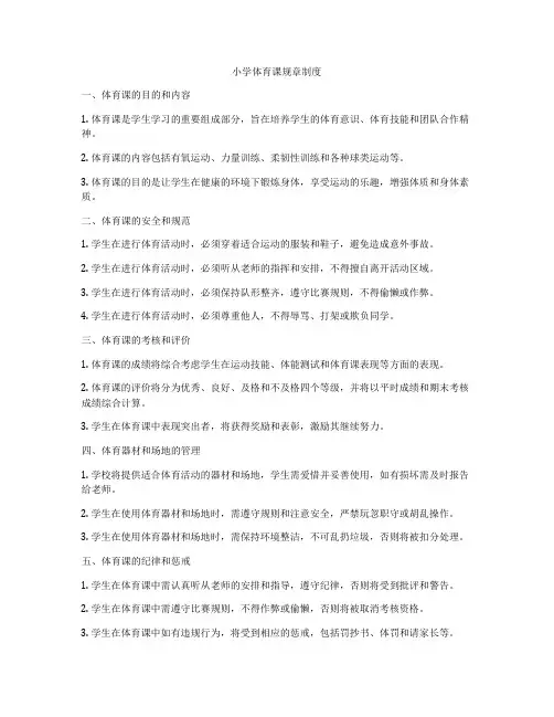 小学体育课规章制度