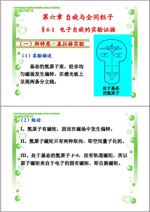 电子自旋全同粒子