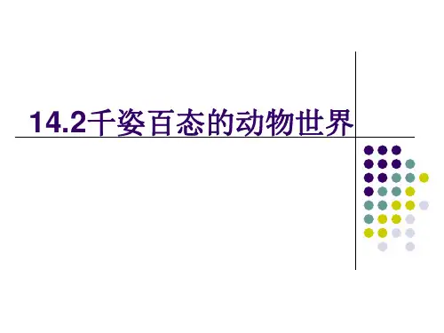 苏教版初中生物八年级上册 5.14.2 千姿百态的动物世界 课件(共44张PPT)