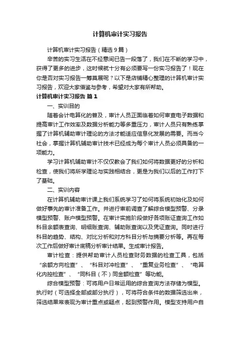 计算机审计实习报告