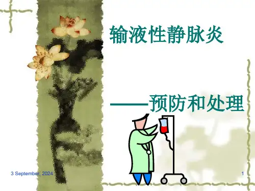 静脉炎的预防和处理【20页】