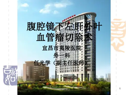 腹腔镜下左肝外叶血管瘤切除术PPT课件
