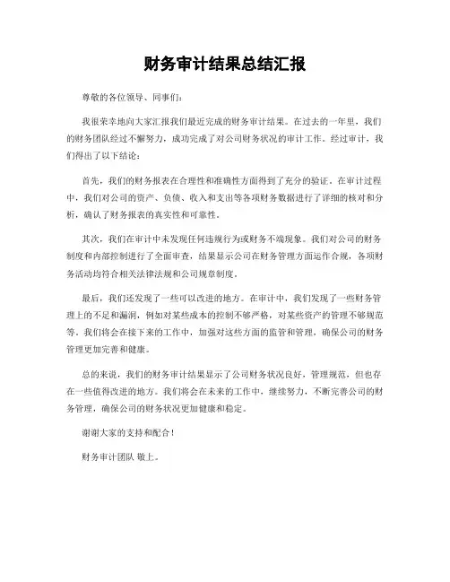 财务审计结果总结汇报