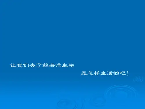 海洋世界PPT课件