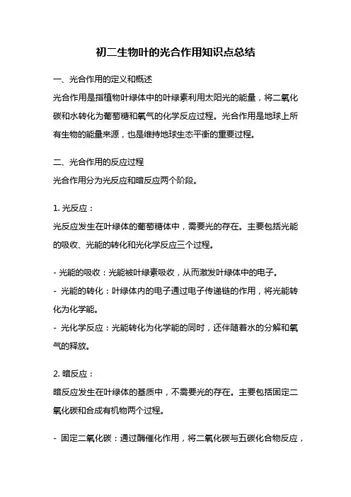 初二生物叶的光合作用知识点总结