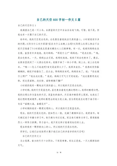 自己的天空600字初一作文5篇
