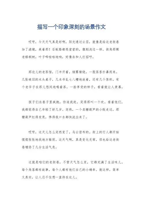 描写一个印象深刻的场景作文