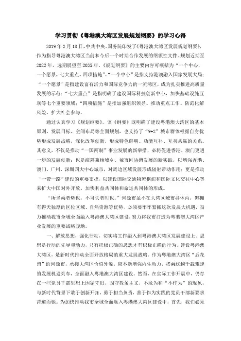 《粤港澳大湾区发展规划纲要》的学习心得