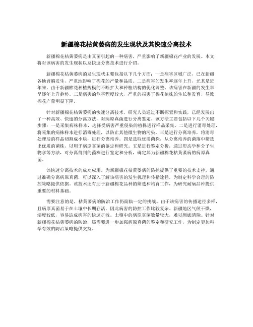新疆棉花枯黄萎病的发生现状及其快速分离技术