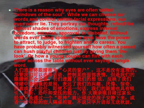 眼神文化eyecontact培训课件