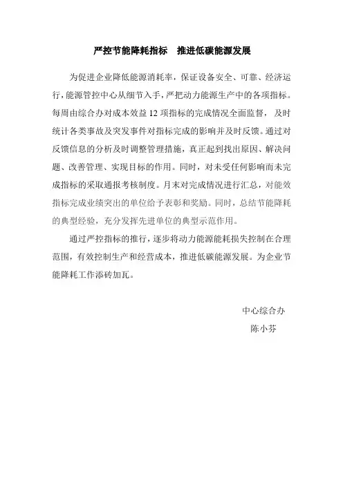 严控节能降耗指标  推进低碳能源发展