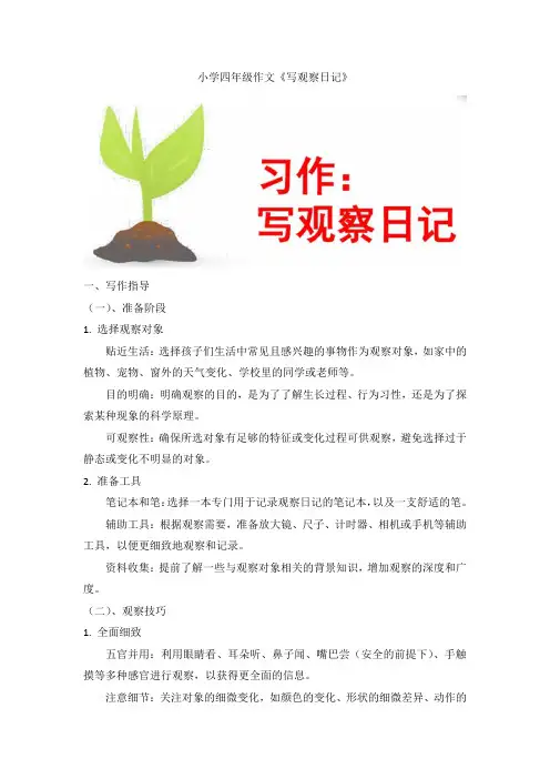 小学四年级作文《写观察日记》