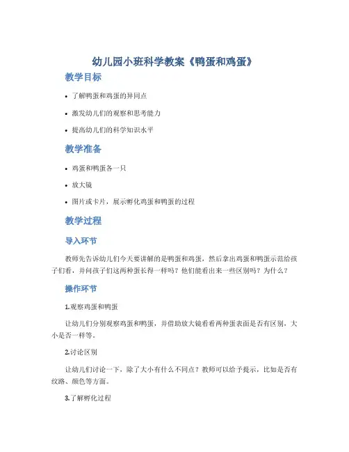 幼儿园小班科学教案《鸭蛋和鸡蛋》