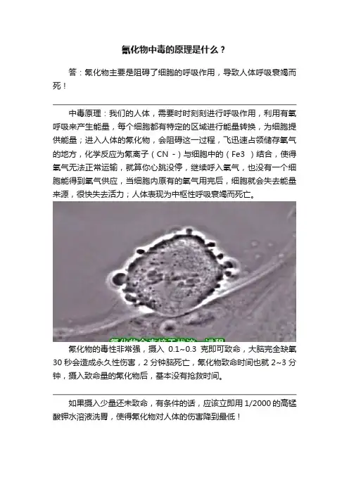 氰化物中毒的原理是什么？