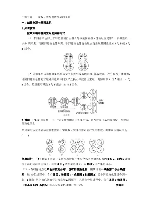 减数分裂与遗传变异的关系